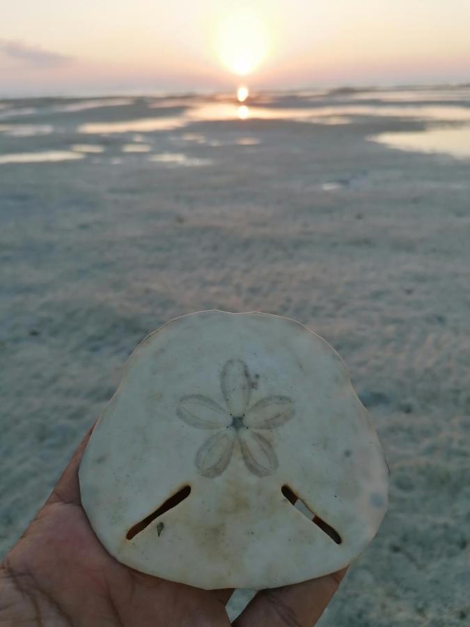 Masirah Beach Camp Masirah Island エクステリア 写真